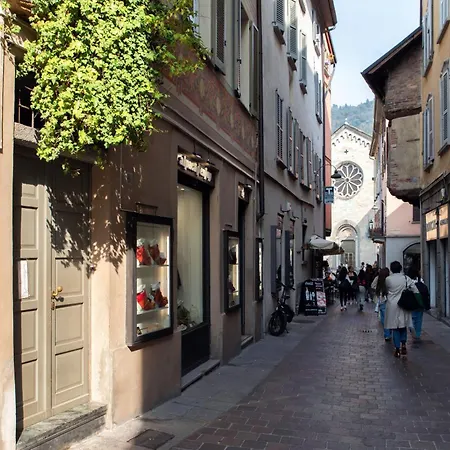 Apartment Vertical Garden By Quokka 360 - Modern In Downtown *