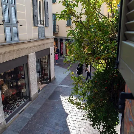 Vertical Garden By Quokka 360 - Modern In Downtown